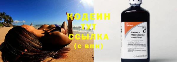 амф Няндома