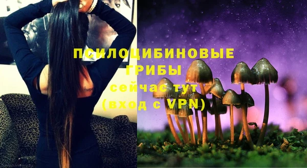 амф Няндома