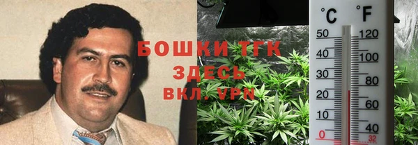 спиды Гатчина