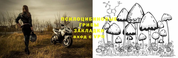 ECSTASY Новодвинск