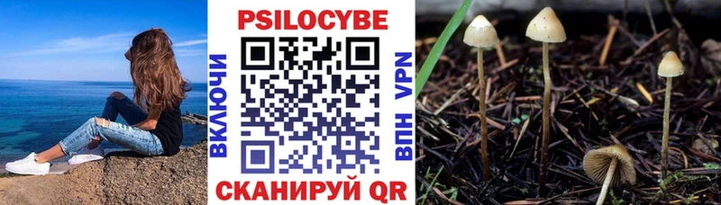 где продают   Красновишерск  Псилоцибиновые грибы прущие грибы 
